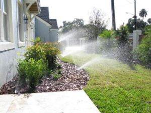 lawn thriving thanks to our Sacramento irrigation specialists